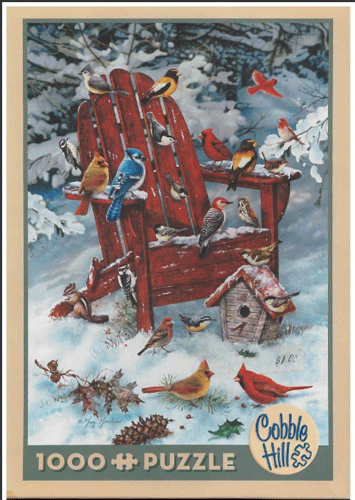 Adirondack Birds