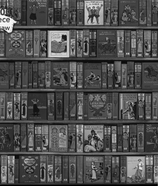 High Jinks! Bookshelves