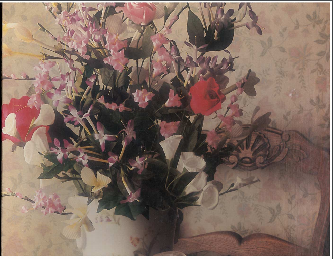 Table Top Still Life